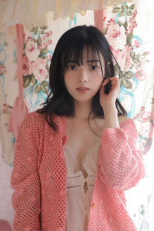 秘密女搜查官系列